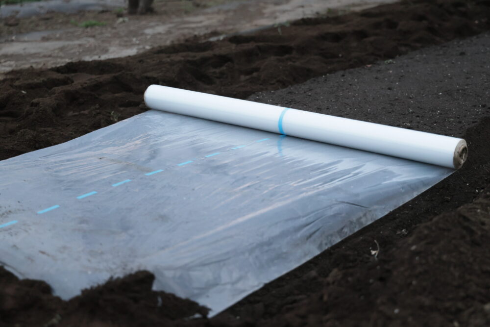 太陽熱消毒では透明ビニールを使う