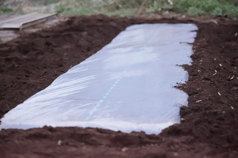 透明ビニールを張る