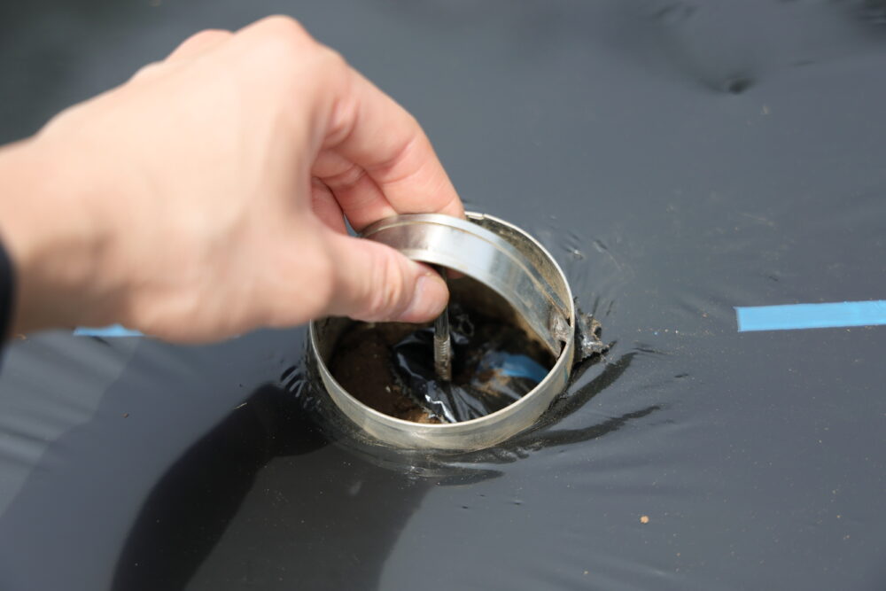 穴あけ器でマルチに穴を空ける様子