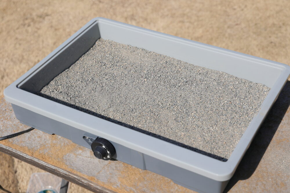 川砂を２cm入れた愛菜花