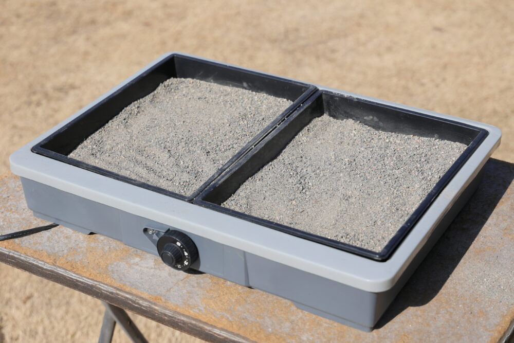 黒いトレイの上に川砂を５cm入れた愛菜花