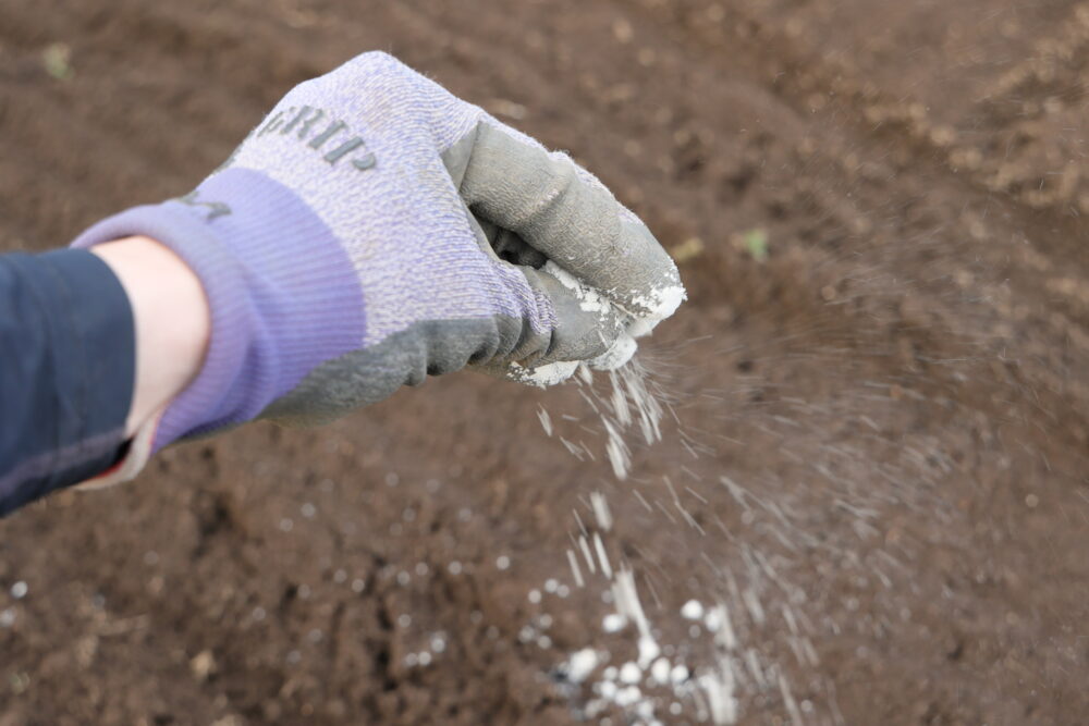 フロンサイド粉剤を均一に撒く