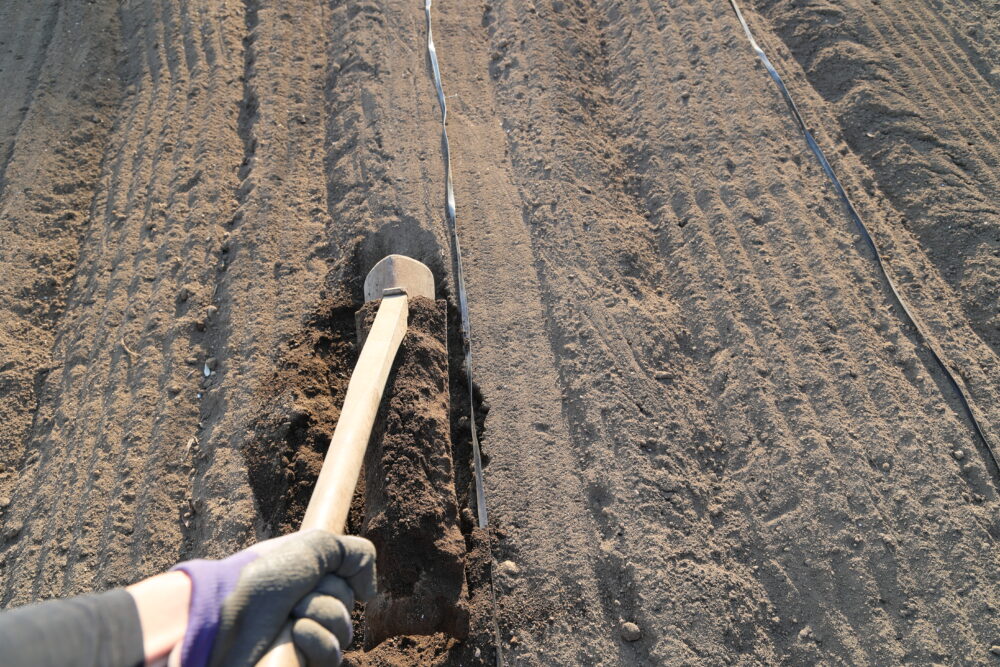 ヒモの外側の土をすくう