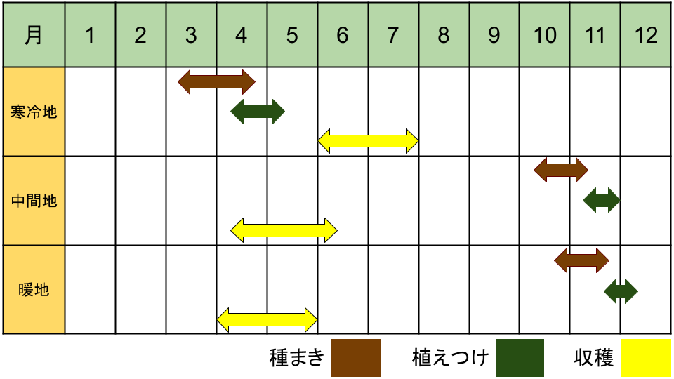 スナップエンドウの栽培カレンダー