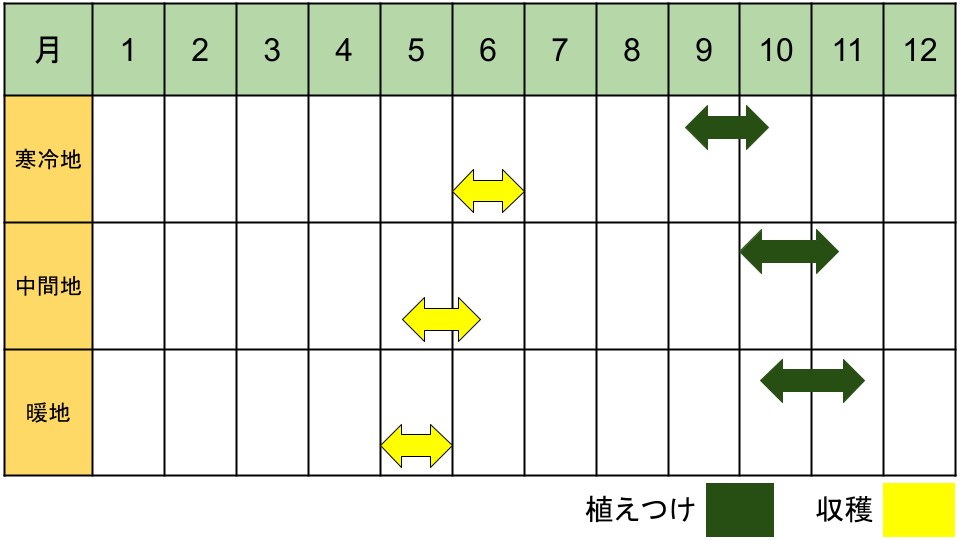 東京おひさまベリーの栽培カレンダー