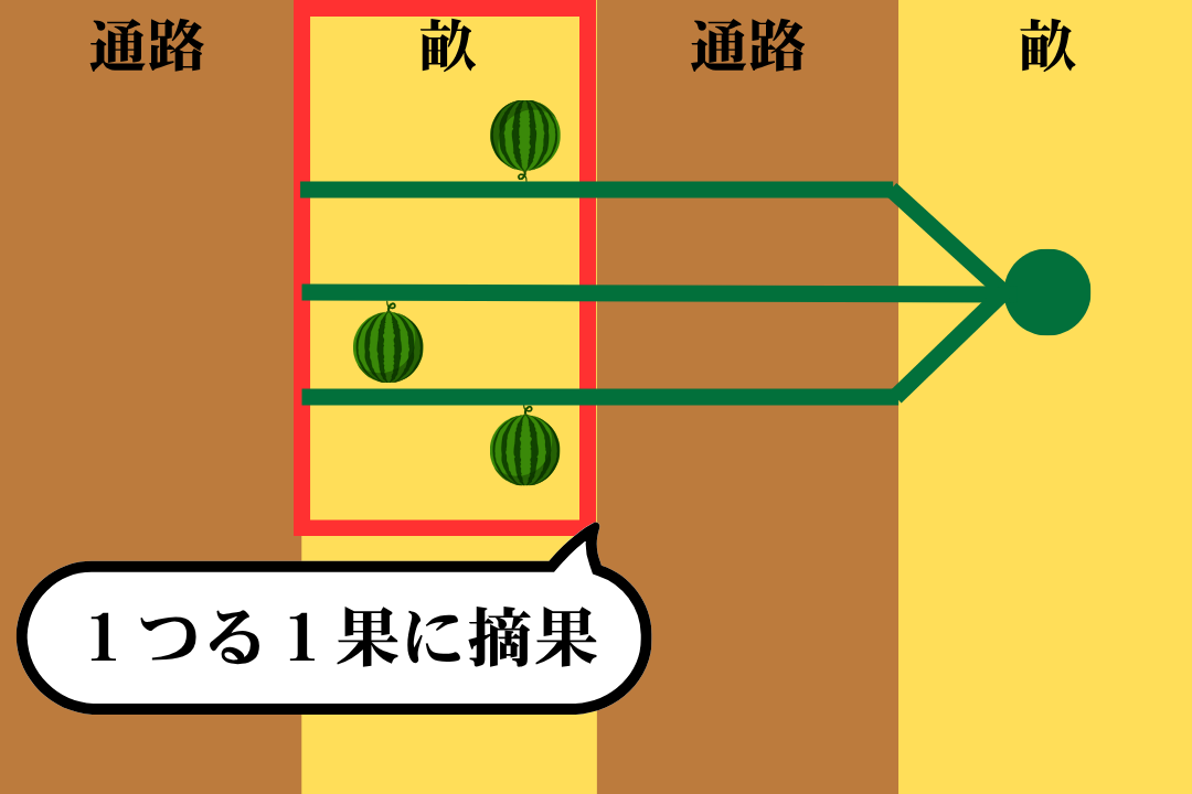 形が良い実を１つる１果に摘果する
