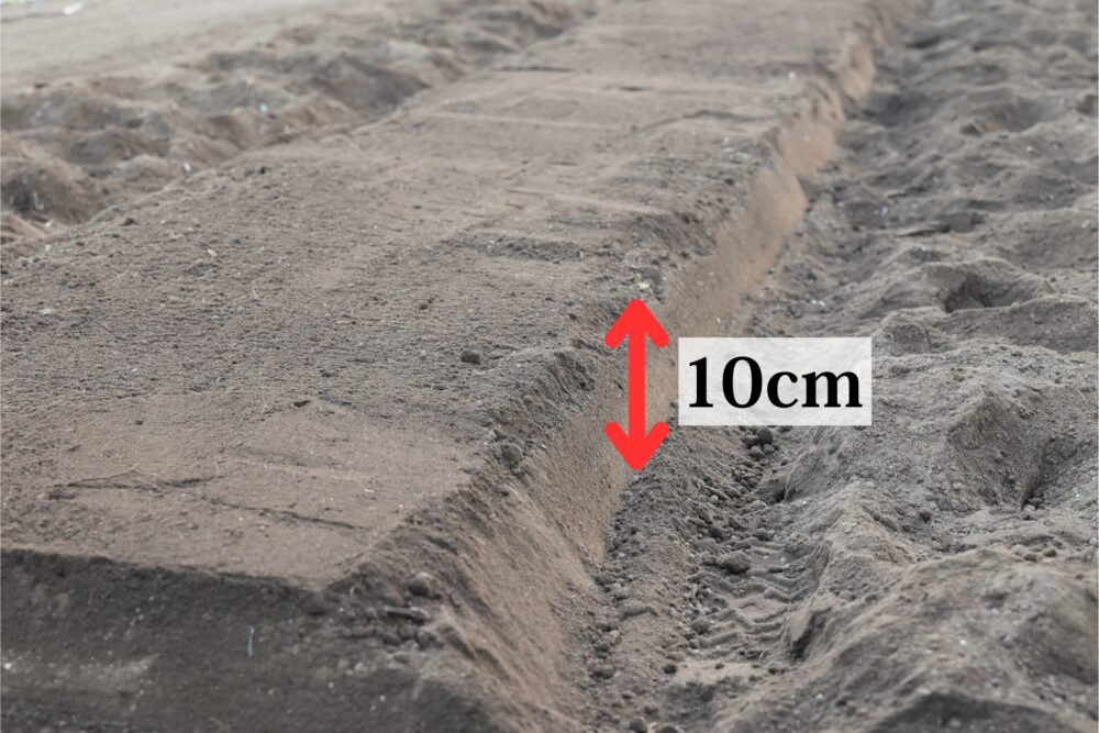 高さ10cmの畝