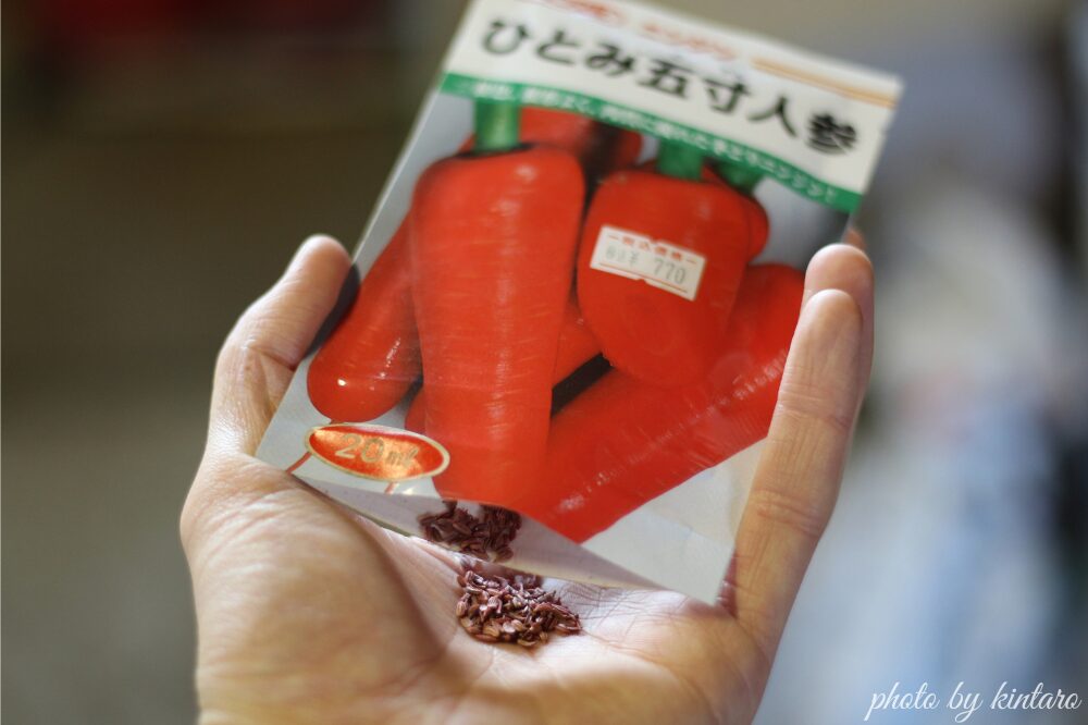 ひとみ五寸の種