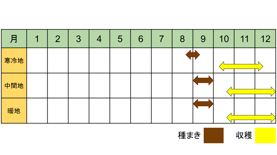 もものすけの栽培カレンダー