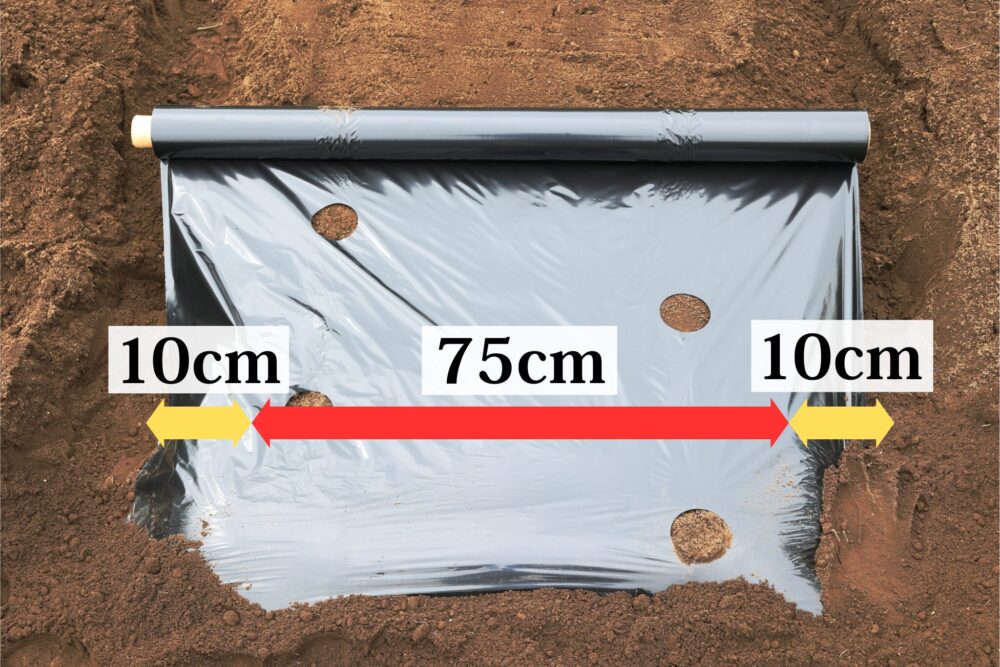 畝幅75cmとし、両端10cmは土に埋める
