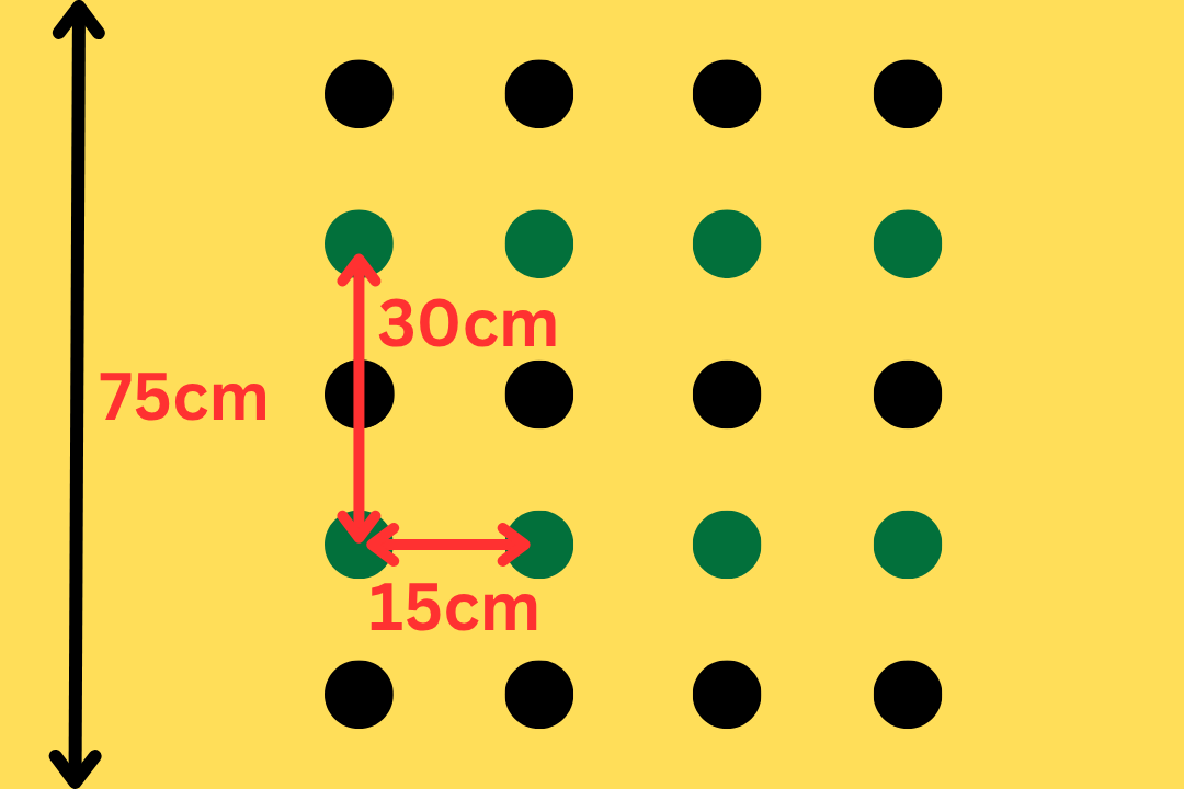 ニラの植え付け間隔は２列15cm
