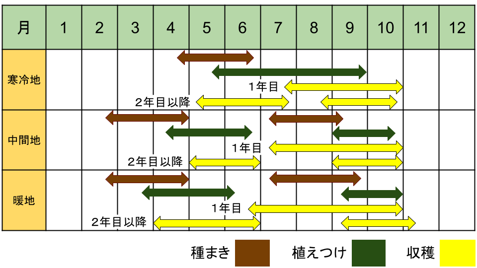 ニラの栽培カレンダー