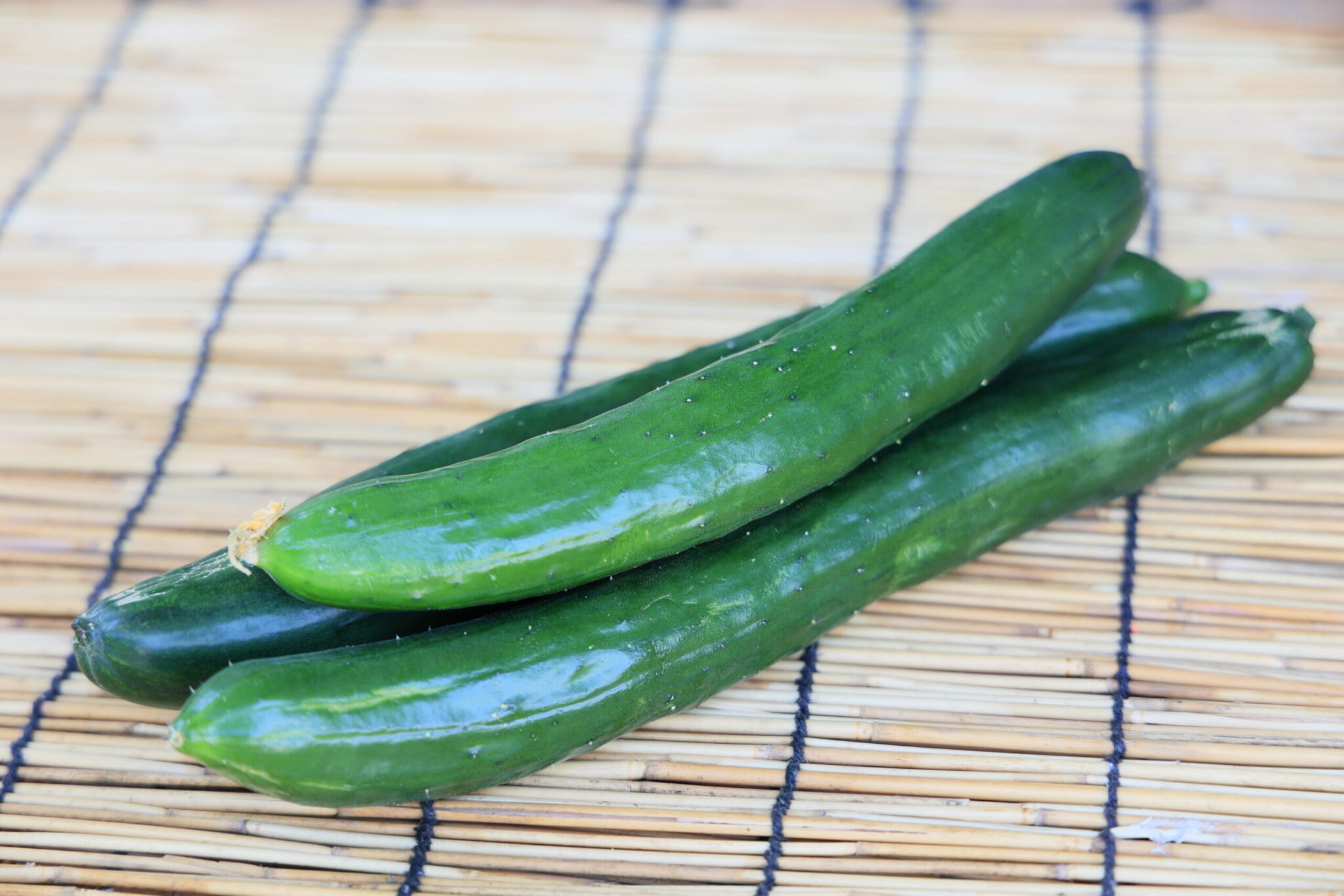 家庭菜園初心者のためのキュウリ栽培完全ガイド | 金太郎の野菜づくり