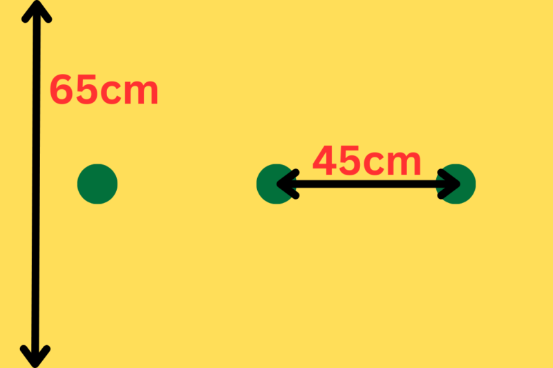 スティックセニョールの植え方は１列45cm間隔