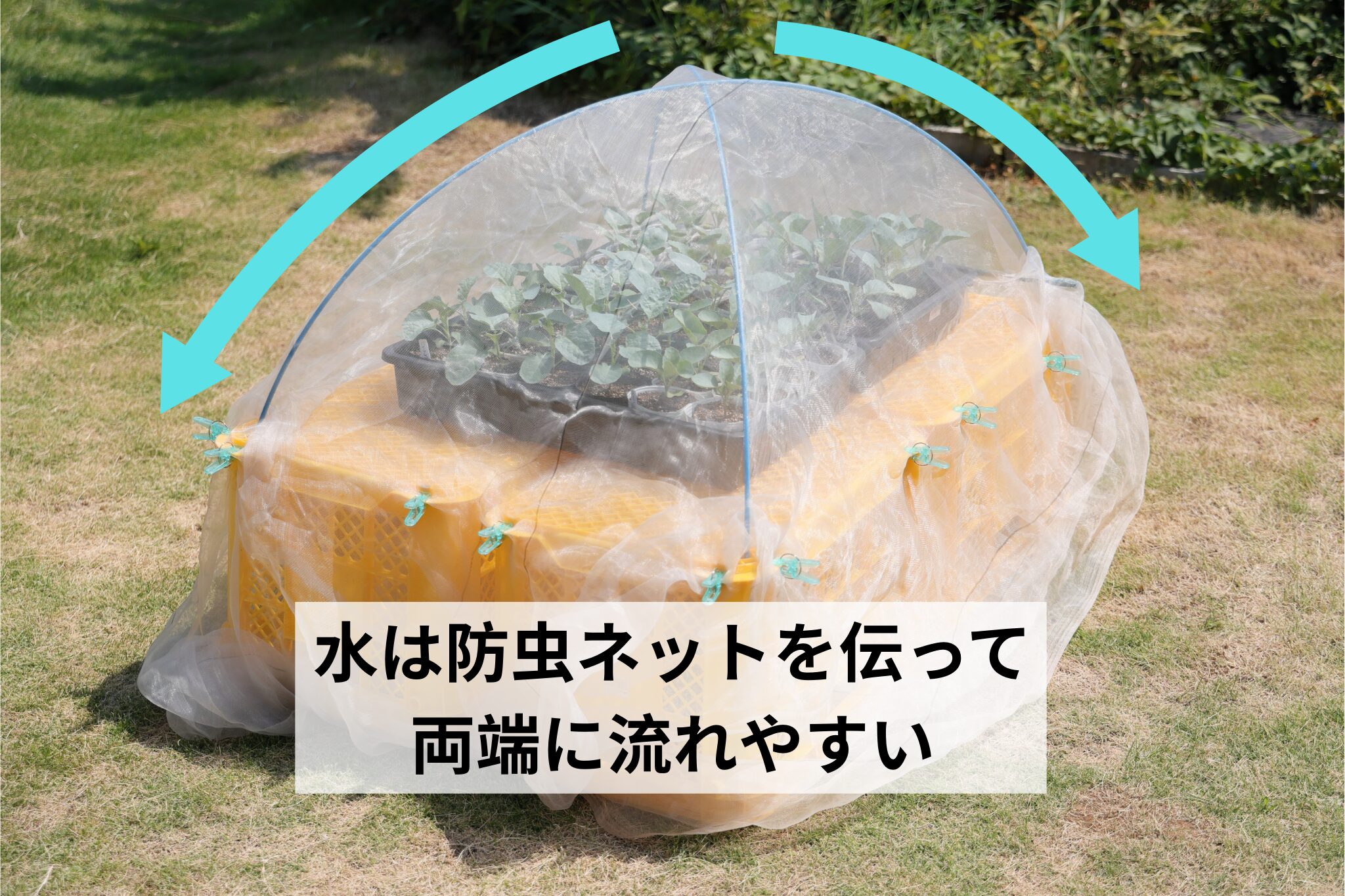 育苗ハウス