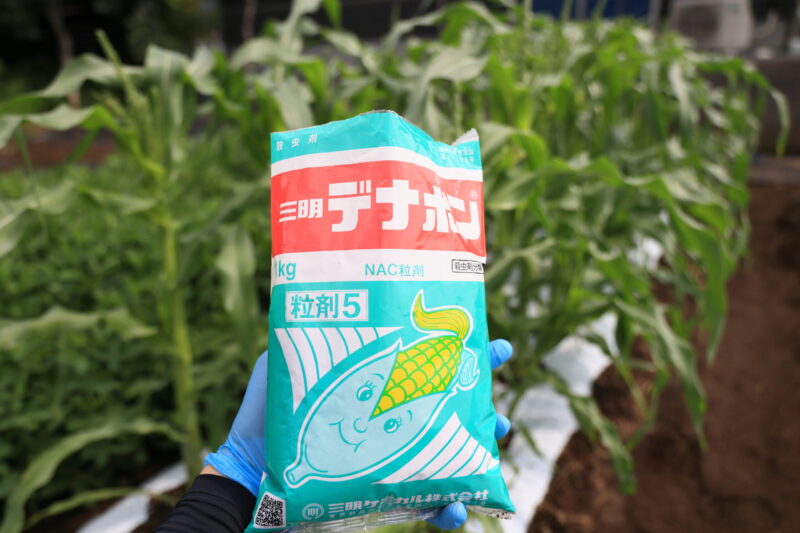 デナポン