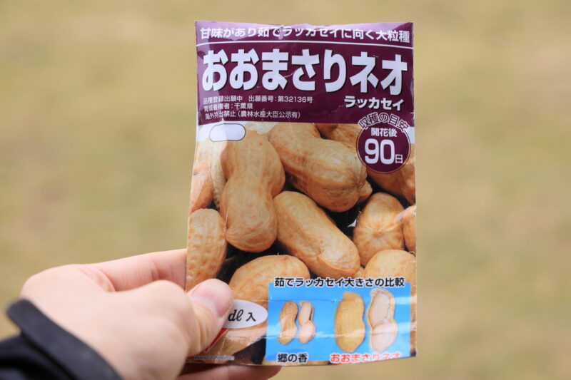 おおまさりの種袋