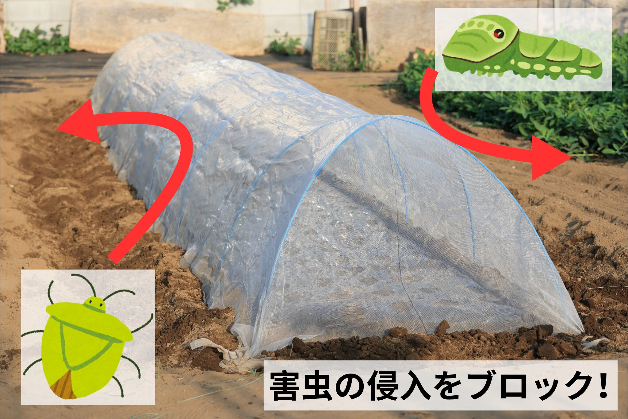 防虫ネットで害虫の侵入をブロック