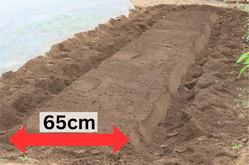 畝幅は65cm