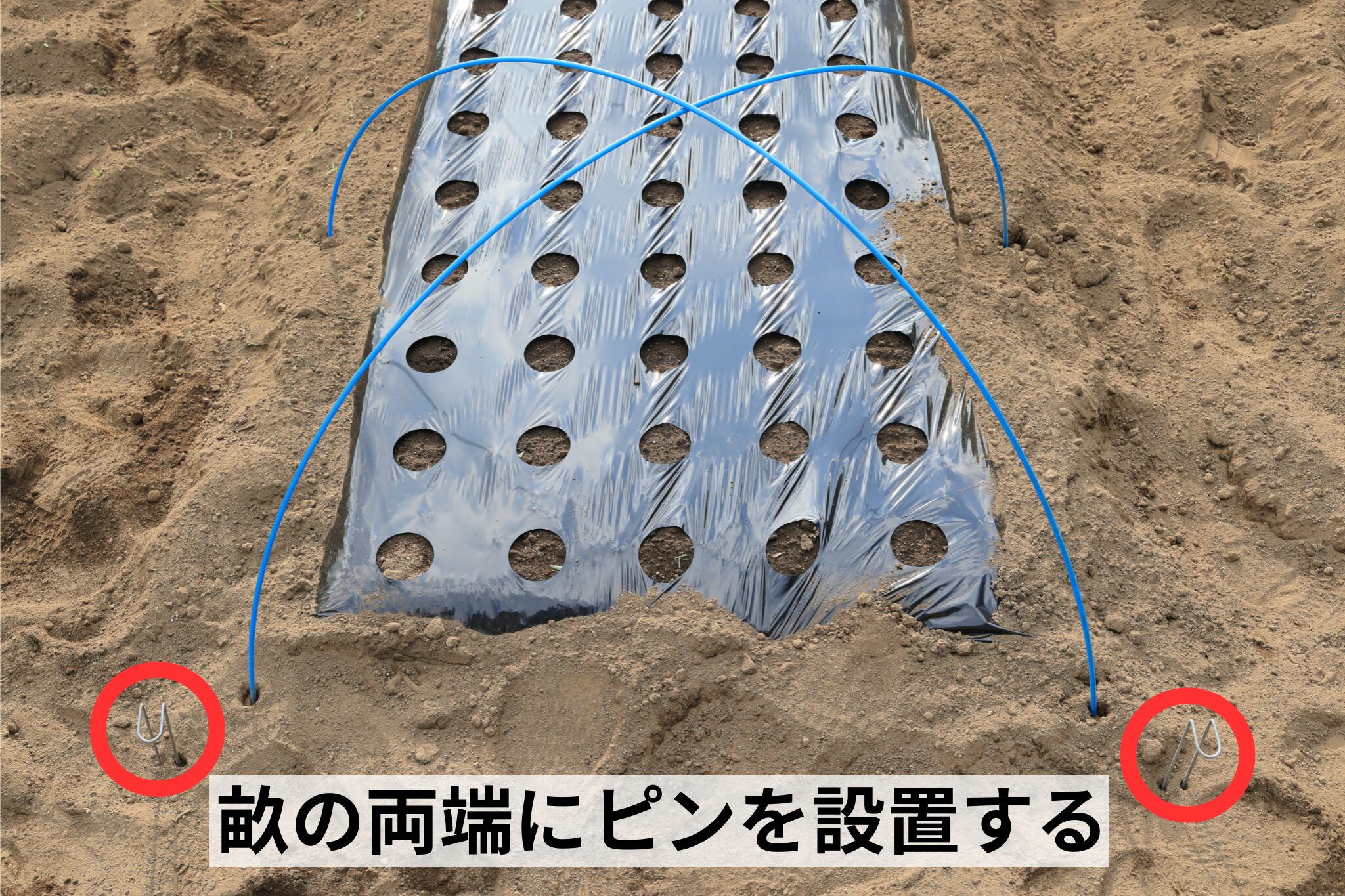 畝の両端にピンを設置する