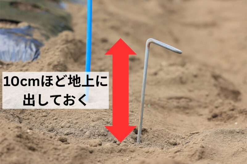 ピンは10cmほど地上に出しておく