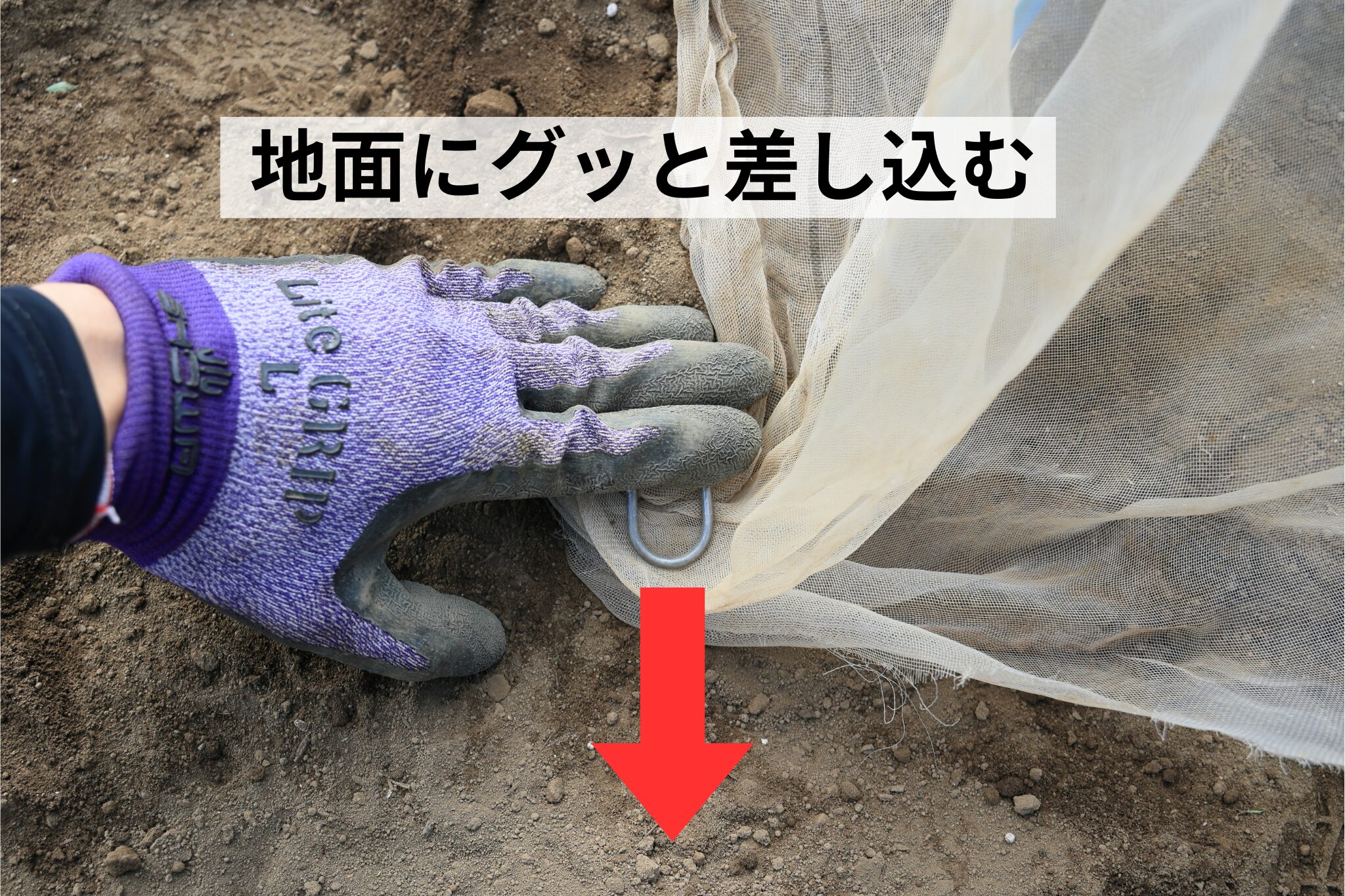 ピンを地面にグッと差し込む