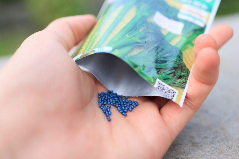 スティックセニョールの種