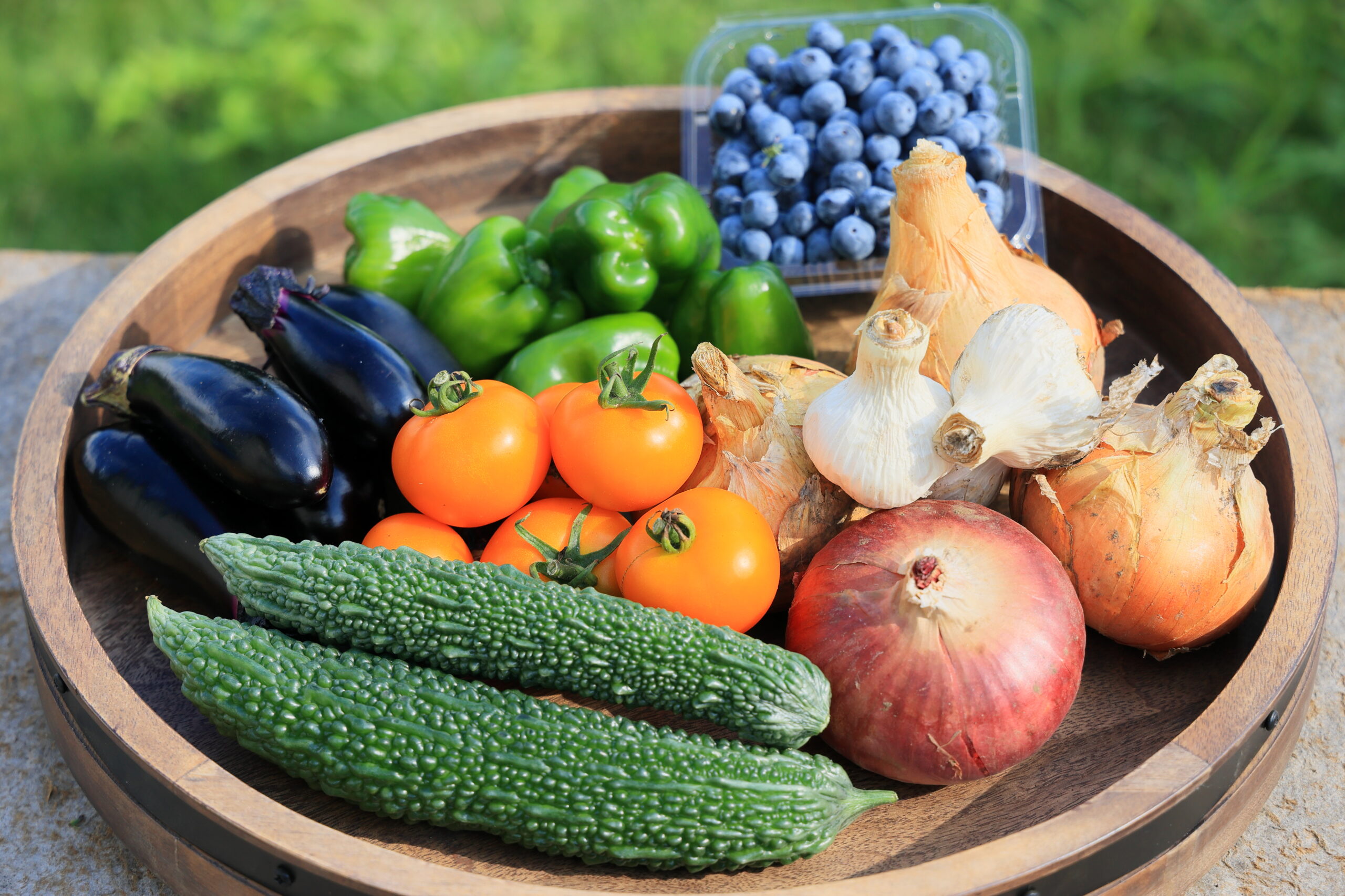 自分で育てた野菜たち