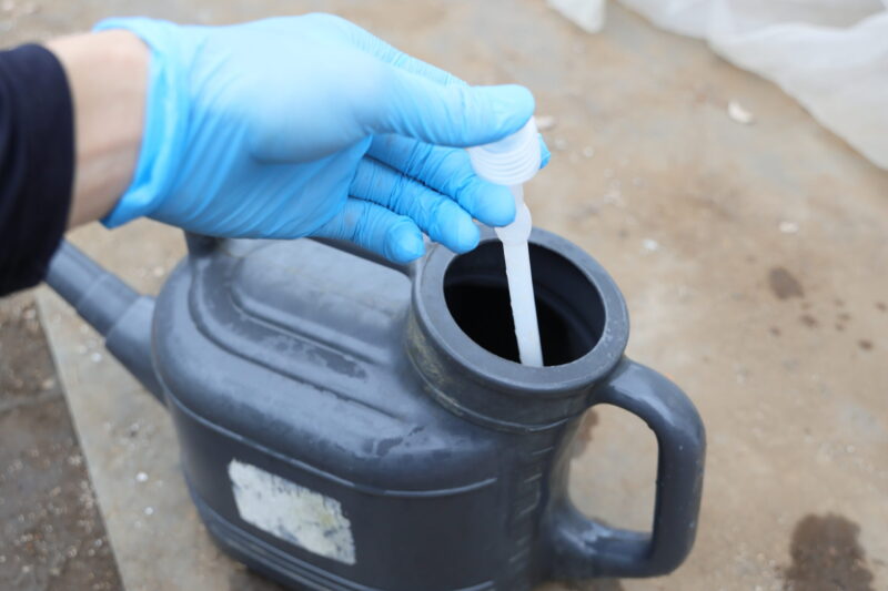 ジョウロに入れる