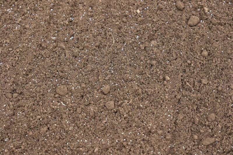 アルバリン粒剤を散布した畝