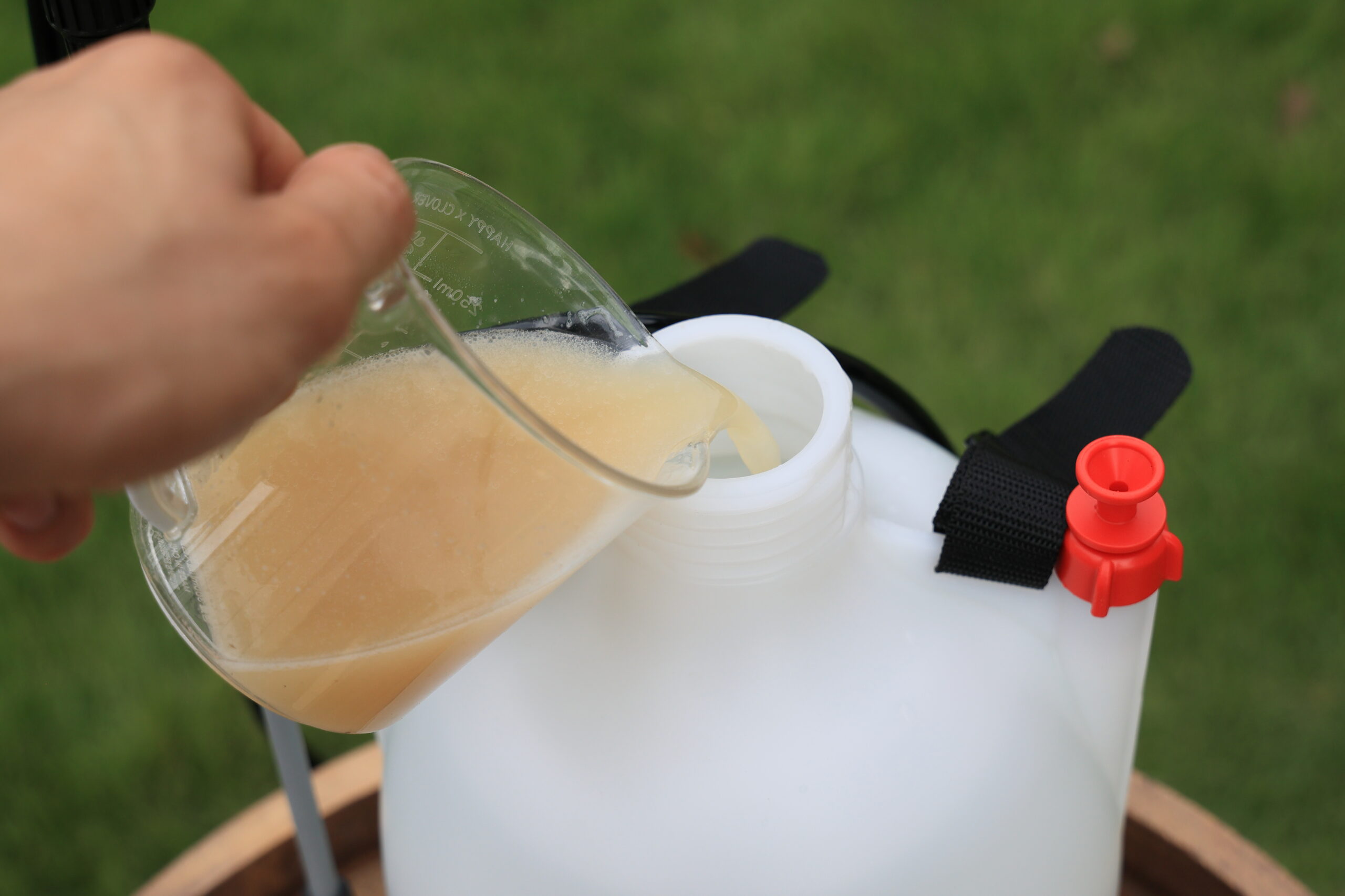 作った散布液を噴霧器に流し込む