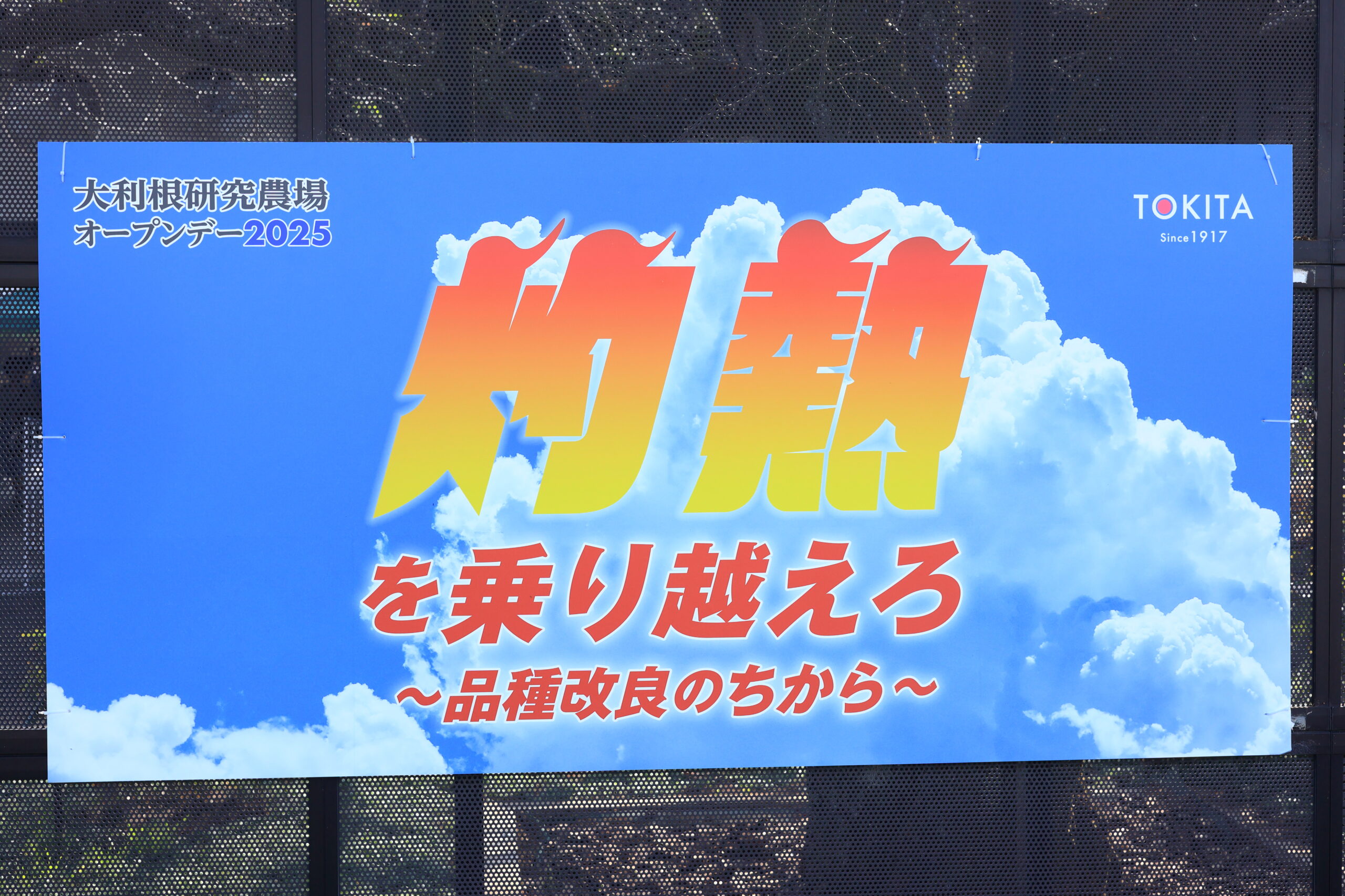 2025年のテーマは「灼熱を乗り越えろ ～品種改良のちから～」