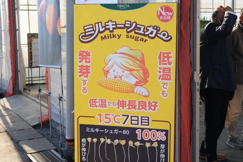 ミルキーシュガー