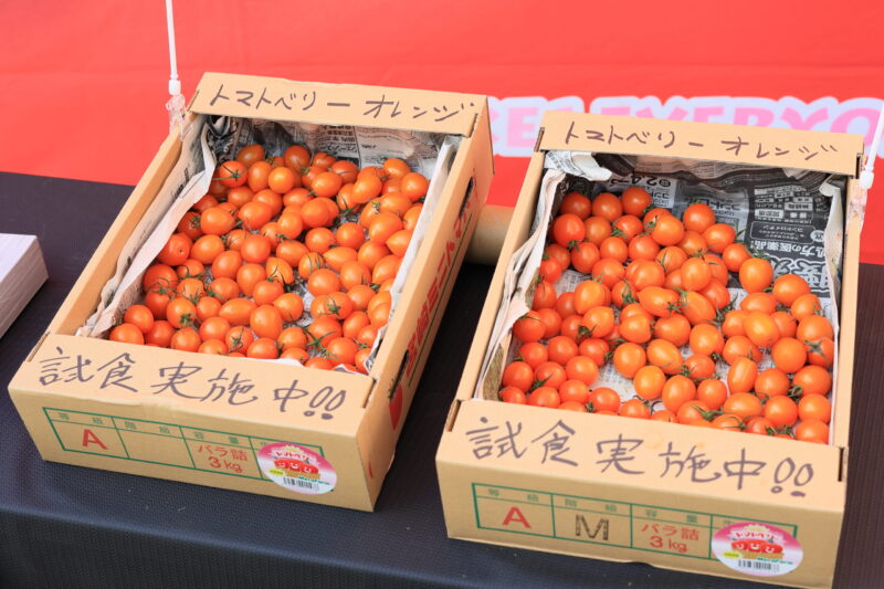 トマトベリーオレンジの試食
