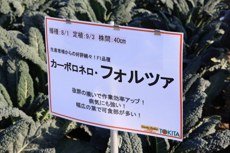 カーボロネロ・フォルツァ