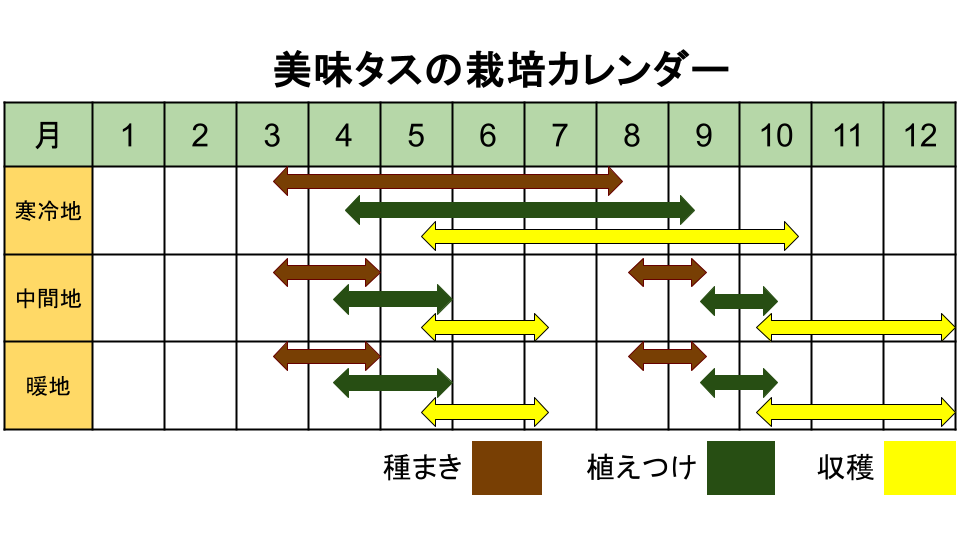 美味タスの栽培カレンダー