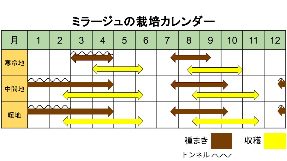 ミラージュの栽培カレンダー