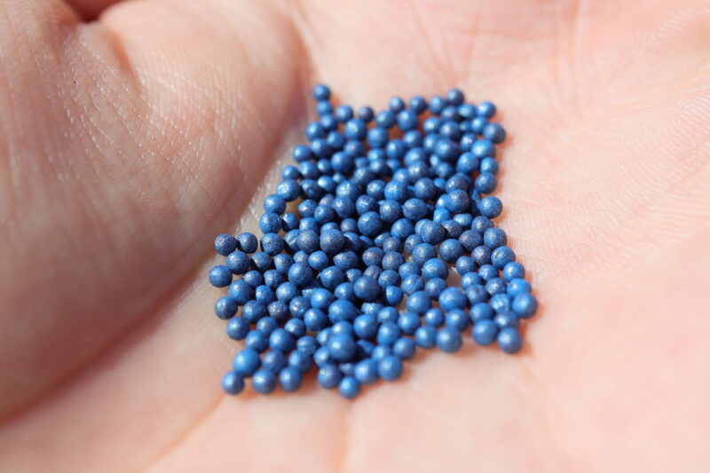 シャオパオの種