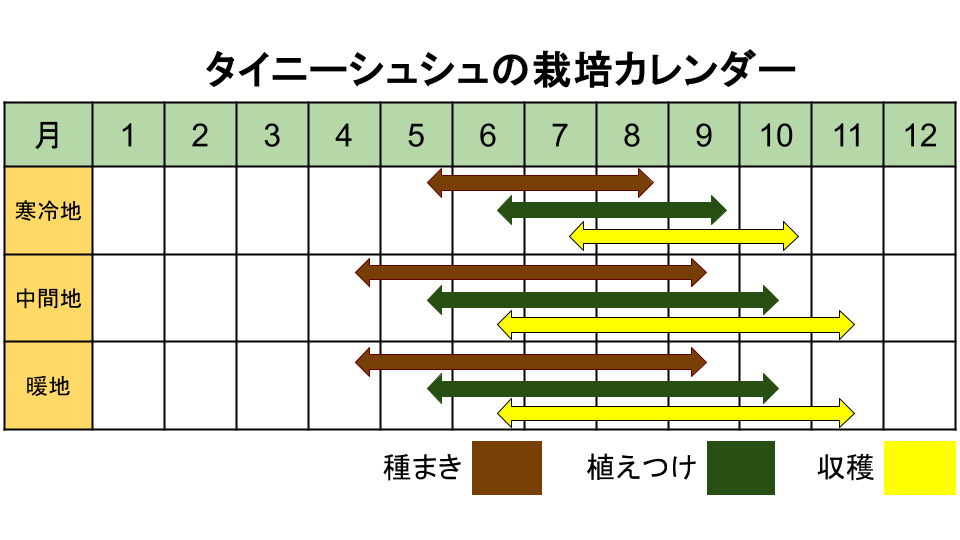 タイニーシュシュの栽培カレンダー