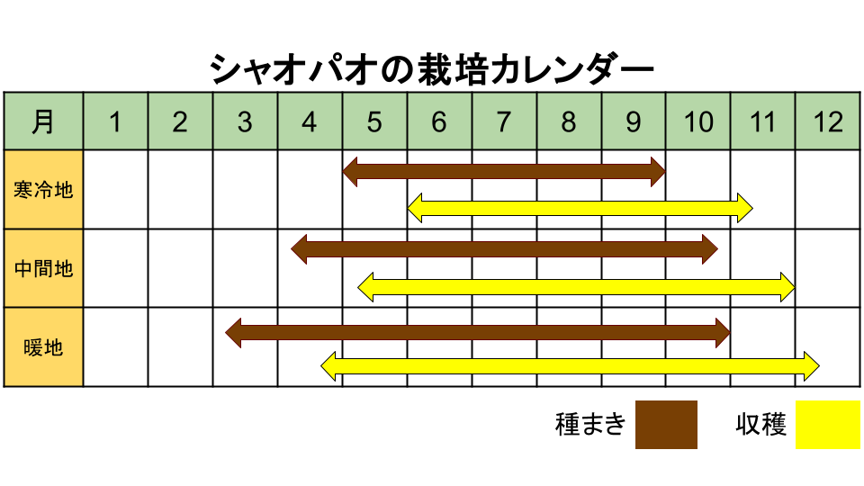 シャオパオの栽培カレンダー