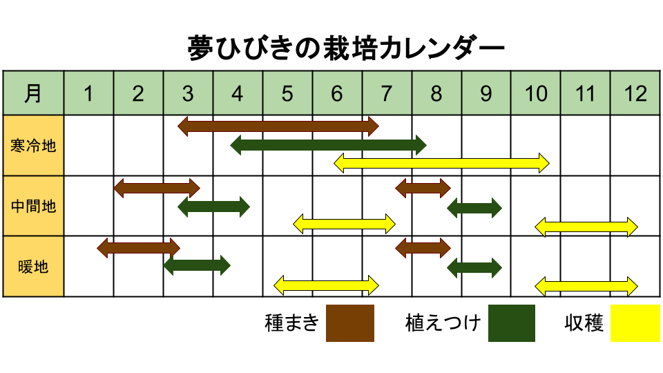 夢ひびきの栽培カレンダー