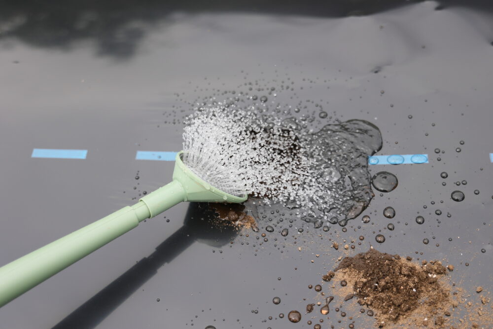 紅あずま苗にたっぷり水やりする