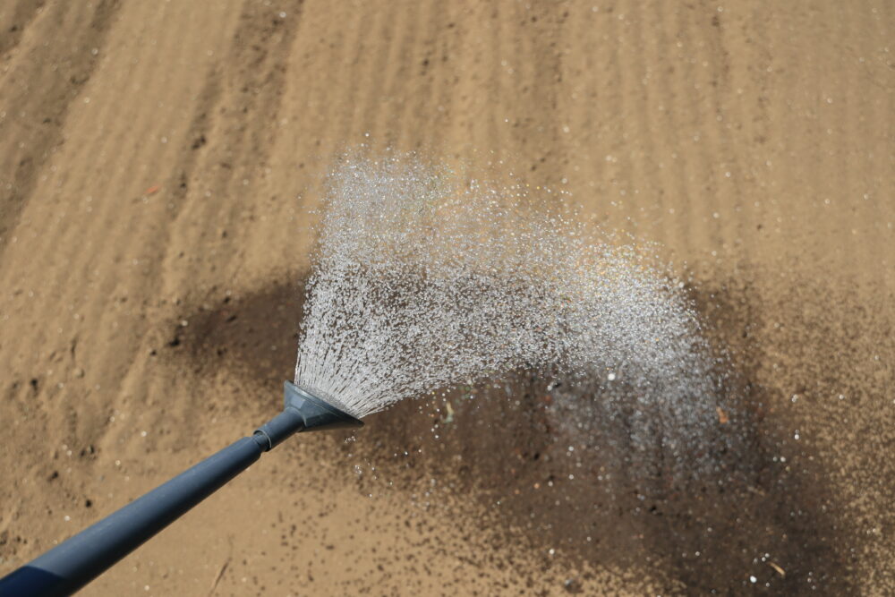 水やりの基本は、「回数よりもメリハリ」