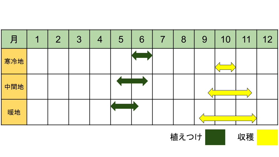 紅あずまの栽培カレンダー(地域別)
