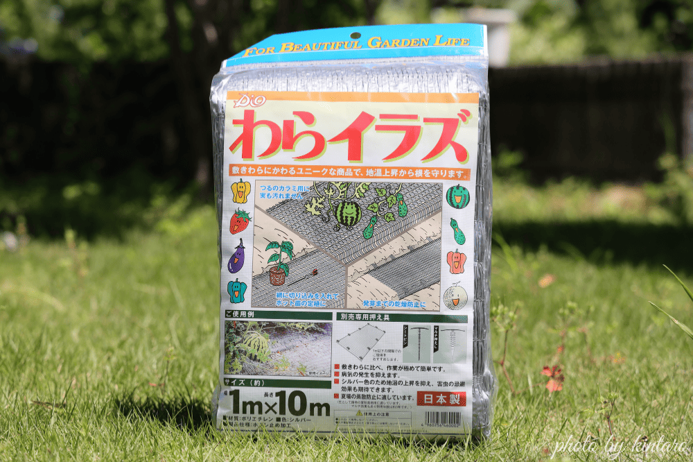 わらイラズ