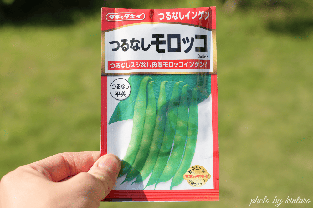 つるなしモロッコの種袋
