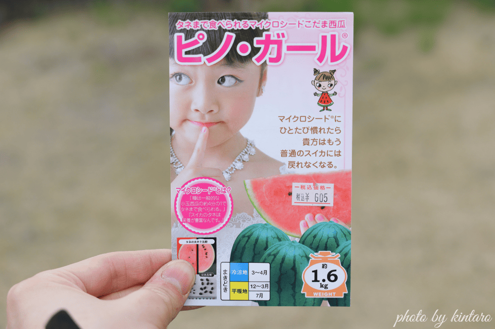 ピノ・ガールの種袋