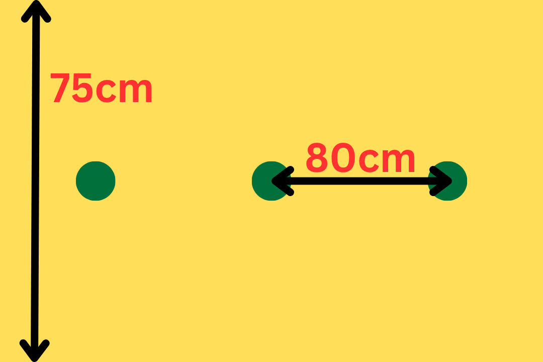 ゼルダ・ジャッロの株間は１列80cm