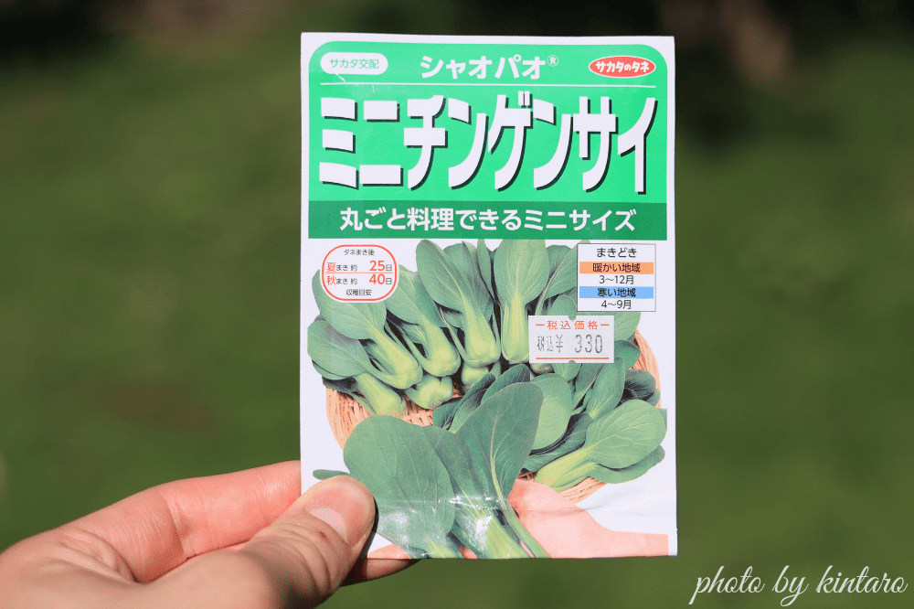 ミニチンゲンサイ「シャオパオ」の種
