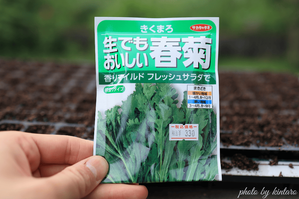 サラダ春菊「きくまろ」の種袋